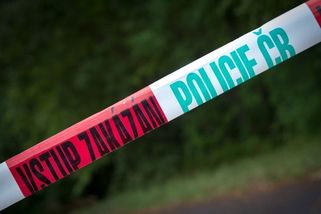 Koupání v lomu na Jesenicku skončilo tragédií, zemřela žákyně páté třídy - Novinky